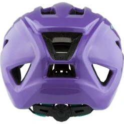 Alpina PICO Kids’ Helmet -Rosebikes 965CE4F0E07C74B045EB0E18903827F3 1